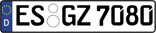 ES-GZ7080