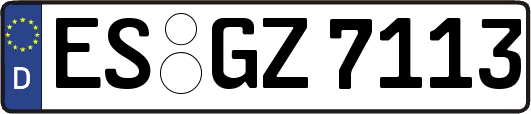 ES-GZ7113