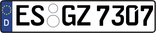 ES-GZ7307