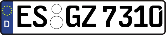 ES-GZ7310