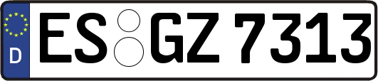 ES-GZ7313