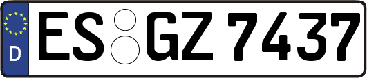 ES-GZ7437