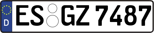ES-GZ7487