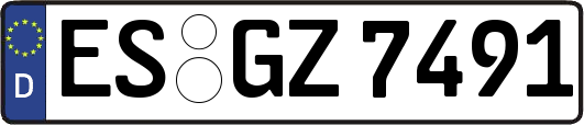 ES-GZ7491