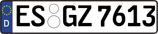 ES-GZ7613