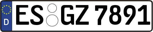 ES-GZ7891