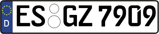 ES-GZ7909
