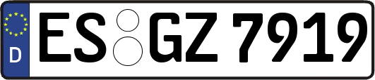 ES-GZ7919