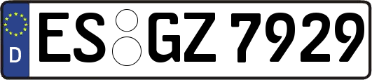 ES-GZ7929