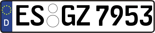 ES-GZ7953