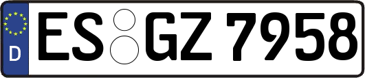 ES-GZ7958