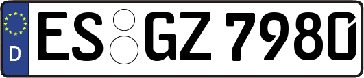 ES-GZ7980