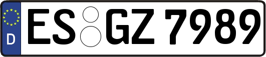 ES-GZ7989