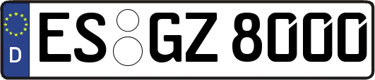 ES-GZ8000
