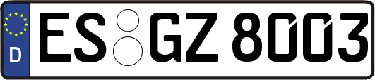 ES-GZ8003