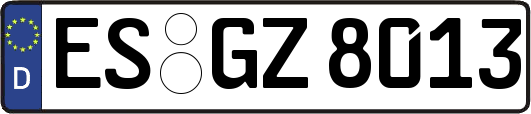 ES-GZ8013