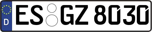 ES-GZ8030