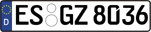 ES-GZ8036