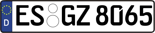 ES-GZ8065