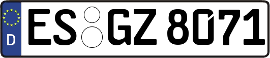 ES-GZ8071