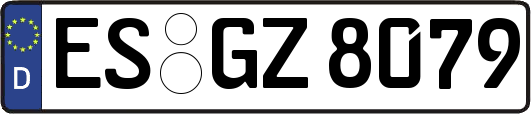 ES-GZ8079