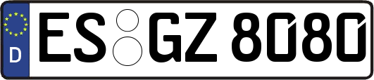ES-GZ8080