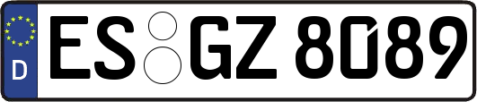 ES-GZ8089