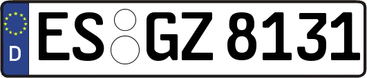 ES-GZ8131
