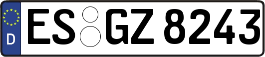 ES-GZ8243