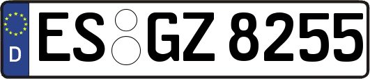 ES-GZ8255