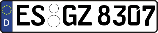 ES-GZ8307