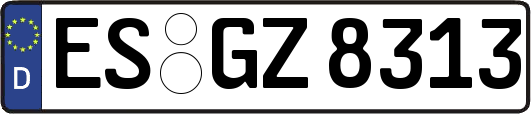 ES-GZ8313