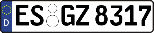 ES-GZ8317