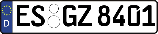 ES-GZ8401