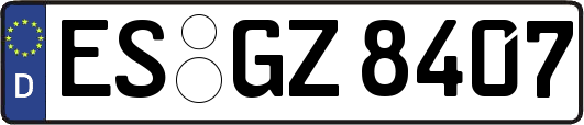 ES-GZ8407