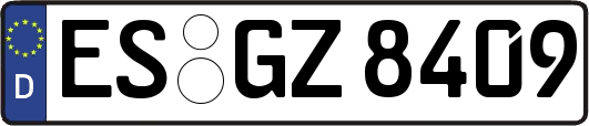 ES-GZ8409