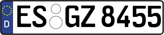 ES-GZ8455