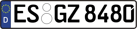 ES-GZ8480