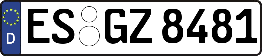ES-GZ8481