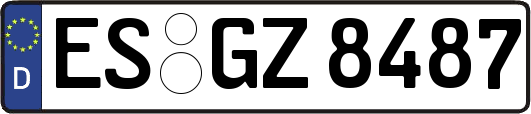 ES-GZ8487