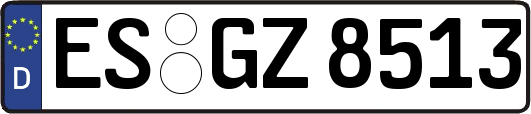 ES-GZ8513