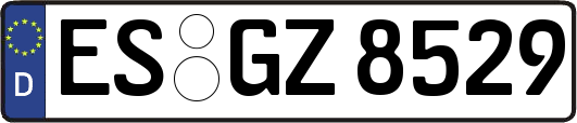 ES-GZ8529