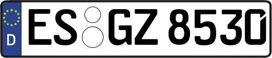 ES-GZ8530