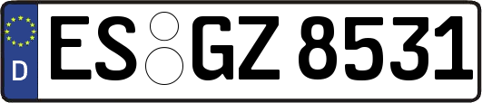 ES-GZ8531