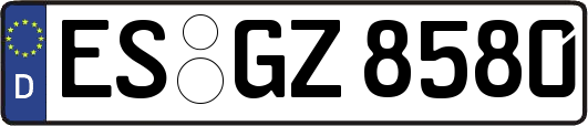 ES-GZ8580