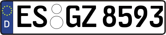 ES-GZ8593