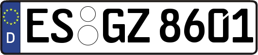 ES-GZ8601