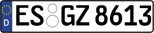 ES-GZ8613