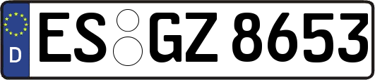 ES-GZ8653