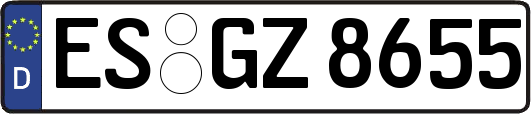 ES-GZ8655